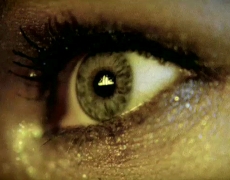 Blowcollage – 10 years of Blow Film