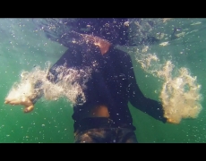 SUE – Talk Talk (Teaser)