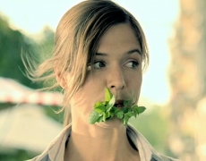 Wrigleys – Herbal Mint